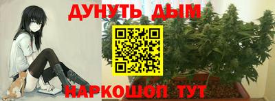 индика Будённовск