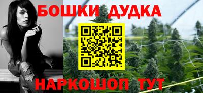 индика Будённовск